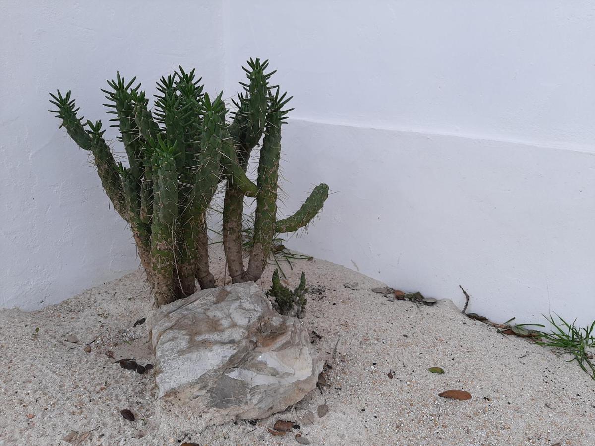 Monte Vale Manhas By Hi Alentejo Villa Sao Bartolomeu da Serra ภายนอก รูปภาพ